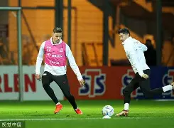 YABO- 莱万什么水平 