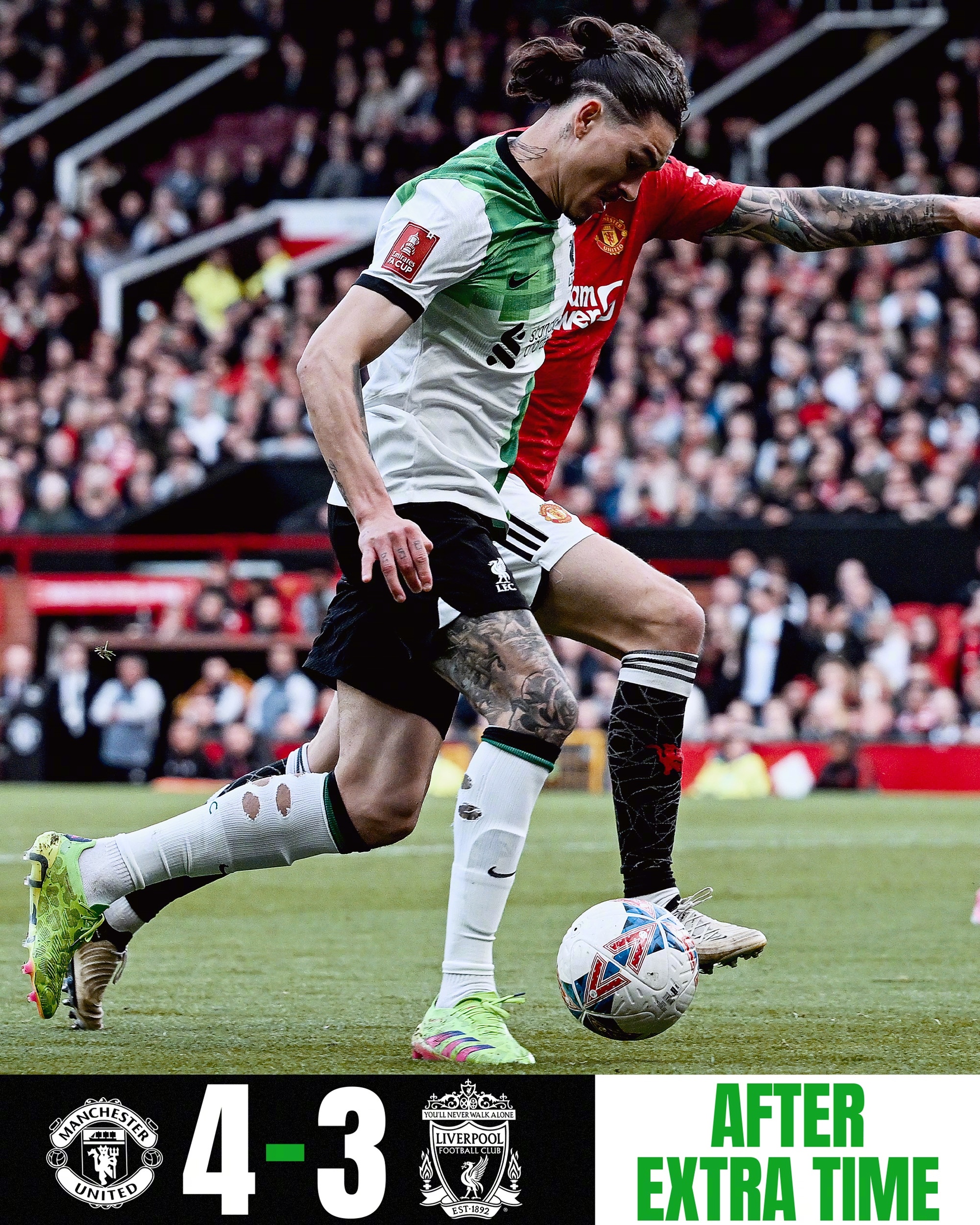  蒂姆获得过大满贯吗 